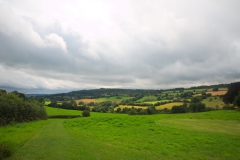 DSC_4130