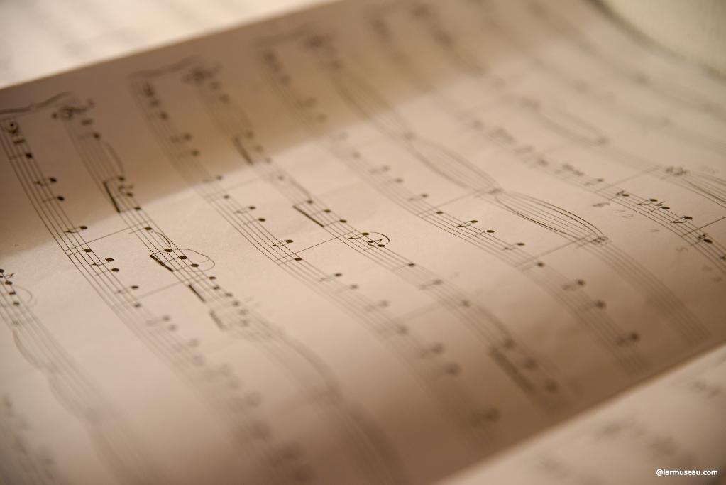 trem·o·lo ˈtreməˌlō/ noun Music noun: tremolo; plural noun: tremolos a wavering effect in a musical tone, typically produced by rapid reiteration of a note, or sometimes by rapid repeated variation in the pitch of a note or by sounding two notes of slightly different pitches to produce prominent overtones. a mechanism in an organ producing a tremolo. a lever on an electric guitar producing a tremolo. noun: tremolo arm; plural noun: tremolo arms
