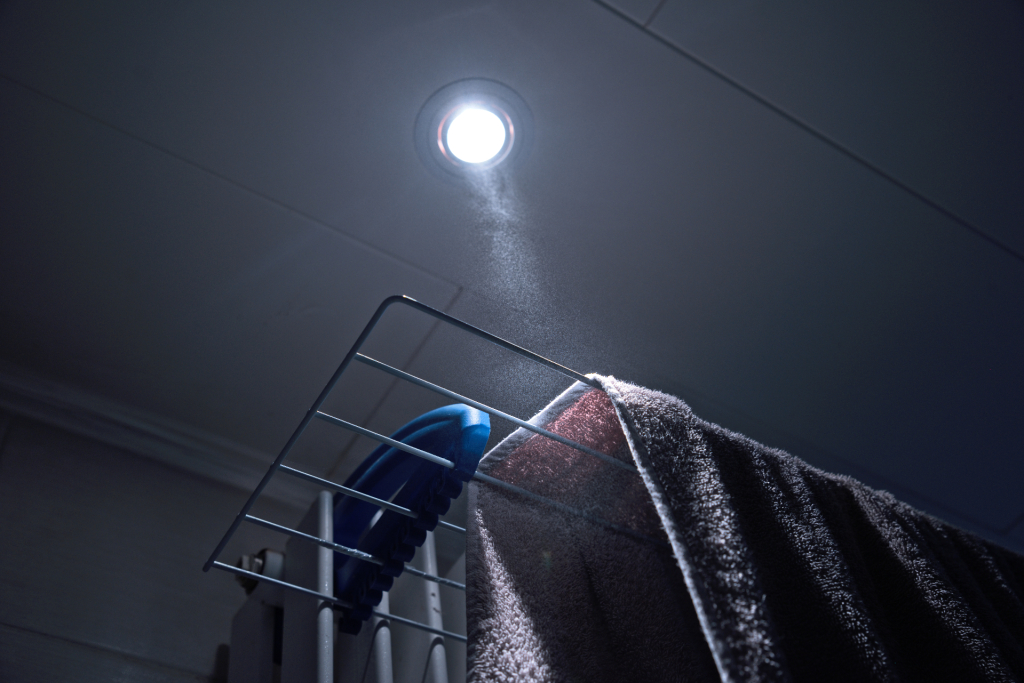 damp noun \ˈdamp\ : slight wetness in the air 1 :  a noxious gas — compare black damp, firedamp 