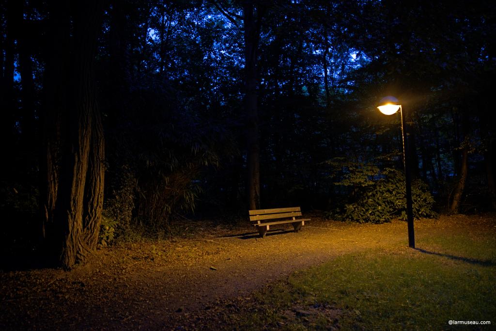 park noun \ˈpärk\ : a piece of public land in or near a city that is kept free of houses and other buildings and can be used for pleasure and exercise