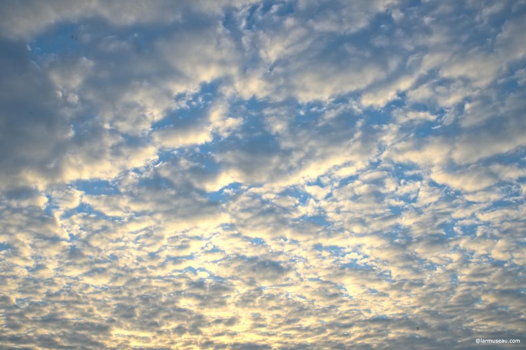 cloud noun, often attributive \ˈklau̇d\ : a white or gray mass in the sky that is made of many very small drops of water