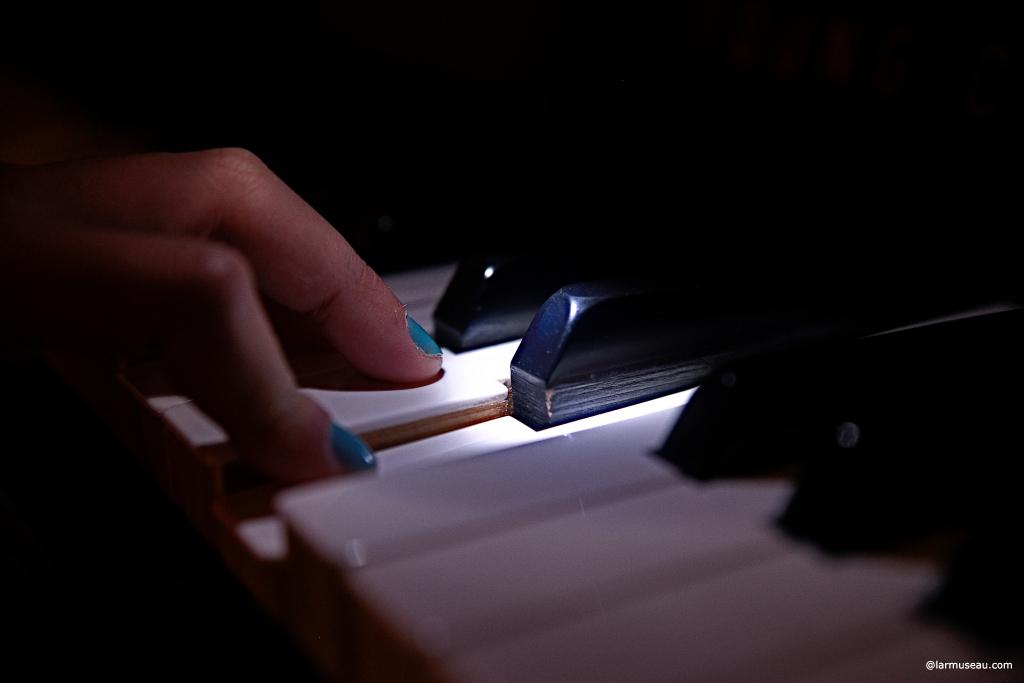 key  noun \ˈkē\  a :  one of the levers of a keyboard musical instrument that actuates the mechanism and produces the tones 