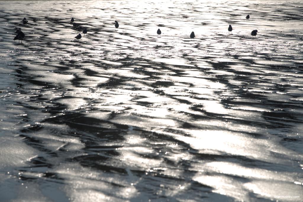 ebb eb/ noun noun: ebb     1.     the movement of the tide out to sea.     "I knew the tide would be on the ebb"     synonyms:	receding, retreat, subsiding     "the ebb of the tide" 