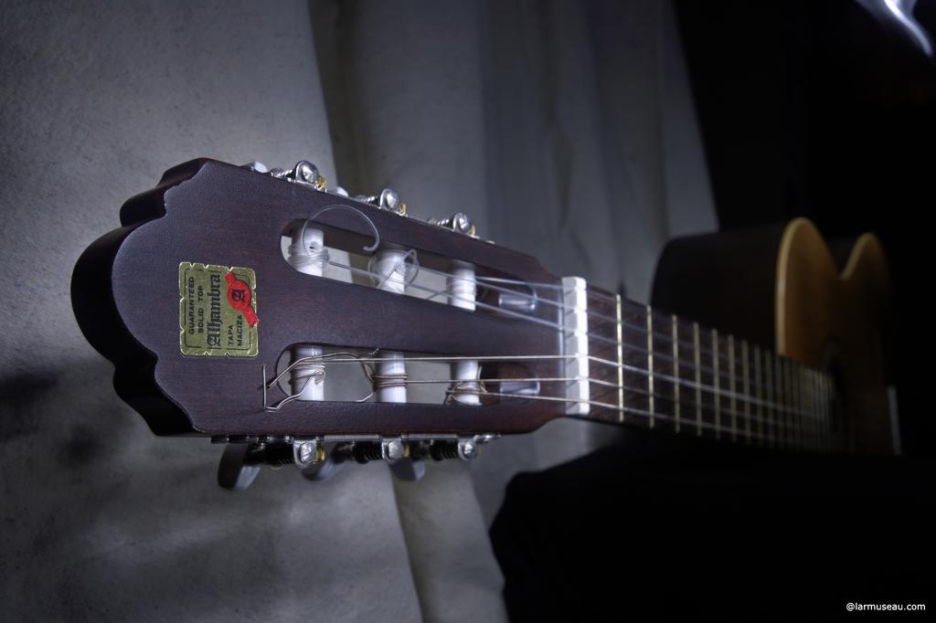 nut noun \ˈnət\ Definition of NUT :  the ridge in a stringed instrument (as a violin) over which the strings pass on the upper end of the fingerboard 