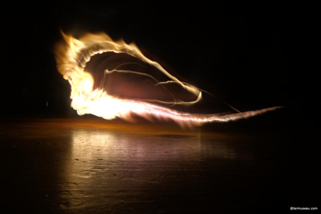 phoe·nix noun \ˈfē-niks\ : a magical bird in ancient stories that lives for 500 years before it burns itself to death and then is born again from its ashes 