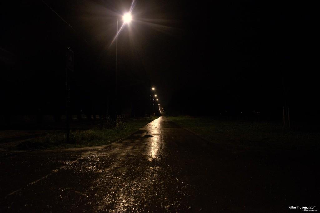 path noun \ˈpath, ˈpäth\ : a track that is made by people or animals walking over the ground : a track that is specially made for people to walk or ride on : the area in front of someone or something that is moving 