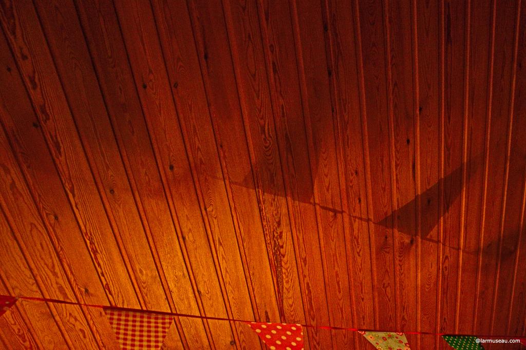 flag noun, often attributive Definition of FLAG 1 :  a usually rectangular piece of fabric of distinctive design that is used as a symbol (as of a nation), as a signaling device, or as a decoration 