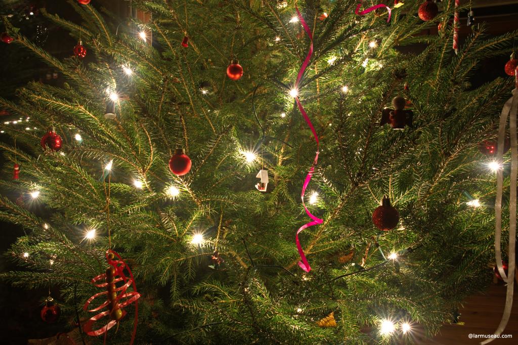 Christmas tree noun : an evergreen tree that is decorated in people's houses at Christmastime 1 :  a usually evergreen tree decorated at Christmas 