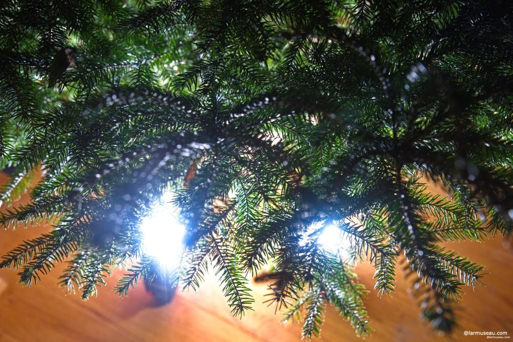 pine noun, often attributive \ˈpīn\ : a tree that has long, thin needles instead of leaves and that stays green throughout the year