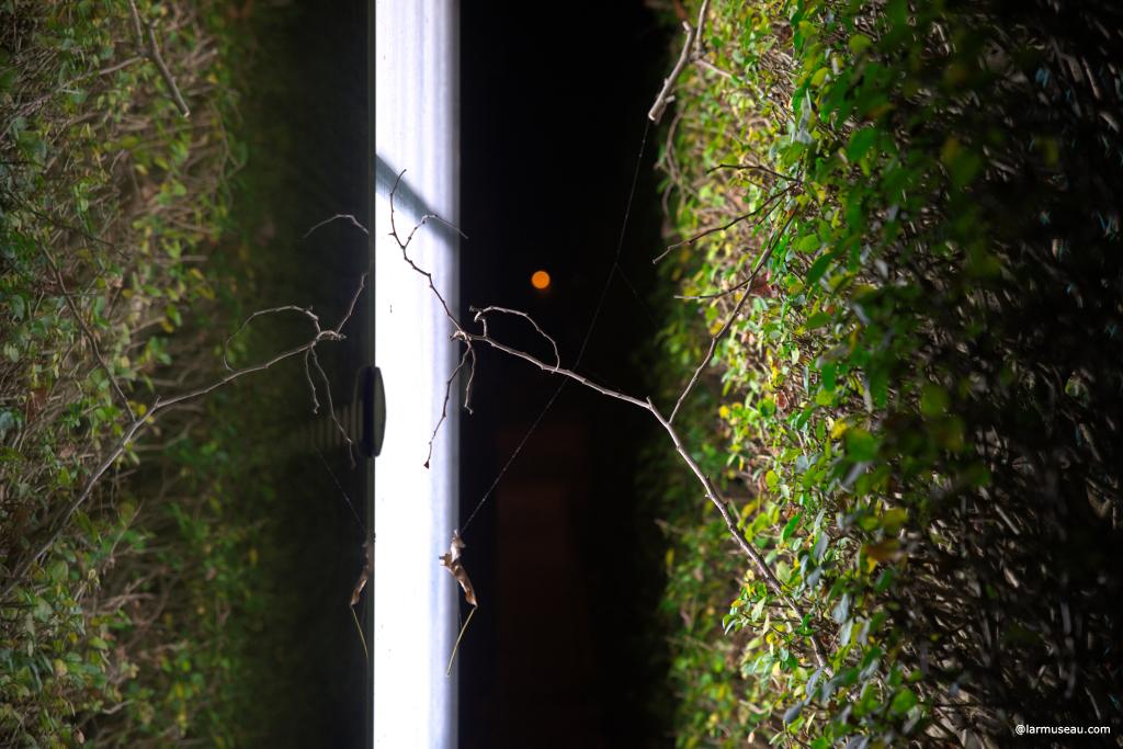 \ˈbəs\ \ˈstäp\ a place where a bus regularly stops, typically marked by a sign. "This was happening in the bus shelter and the nearby road of my bus stop, the last bus stop on the route."