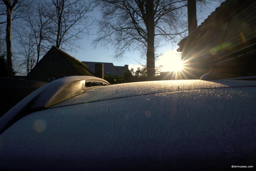 New Year's Day noun : January 1 celebrated as a holiday : the first day of the year 