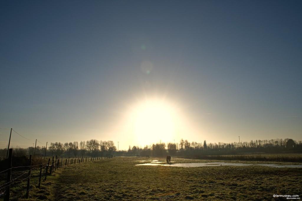 graze verb \ˈgrāz\ grazed graz·ing  Definition of GRAZE intransitive verb 1 :  to feed on growing herbage, attached algae, or phytoplankton 2 :  to eat small portions of food throughout the day 