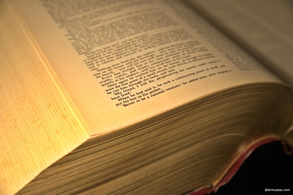 Dick·ens biographical name \ˈdi-kənz\ Definition of DICKENS Charles John Huffam 1812–1870 pseud. Boz Eng. nov. — Dick·en·si·an adjective 