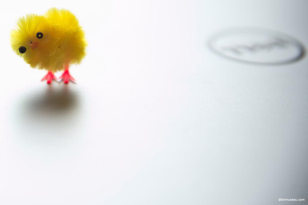 chick noun \ˈchik\ : a baby bird; especially : a baby chicken : a woman or girl 