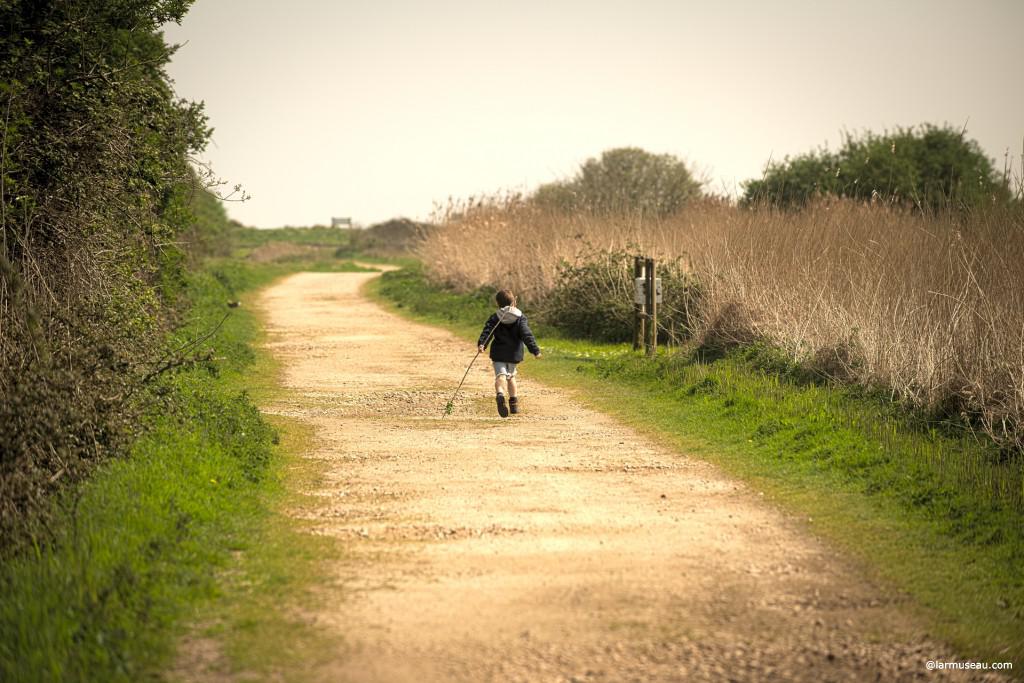 wanderlust noun wan·der·lust \ˈwän-dər-ˌləst\ : a strong desire to travel 