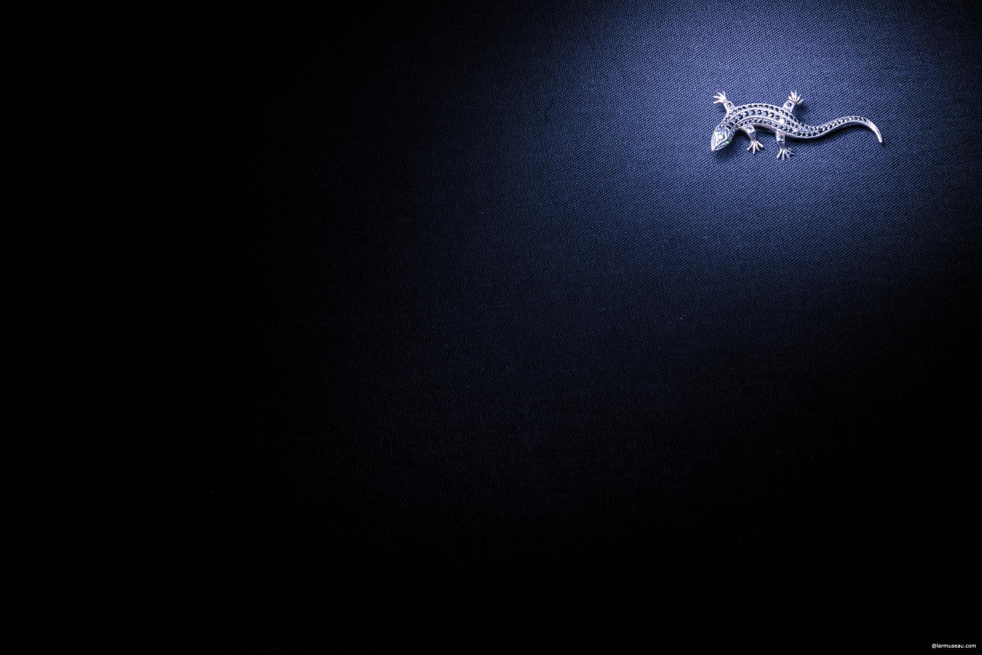 sal·a·man·der (săl′ə-măn′dər) n. 1. Any of various small, tailed amphibians of the order Caudata, having porous scaleless skin and usually two pairs of limbs of equal size, found chiefly in northern temperate regions. 2. a. A mythical creature, generally resembling a lizard, believed capable of living in or withstanding fire. b. In the occult philosophy of Paracelsus, a being having fire as its element.