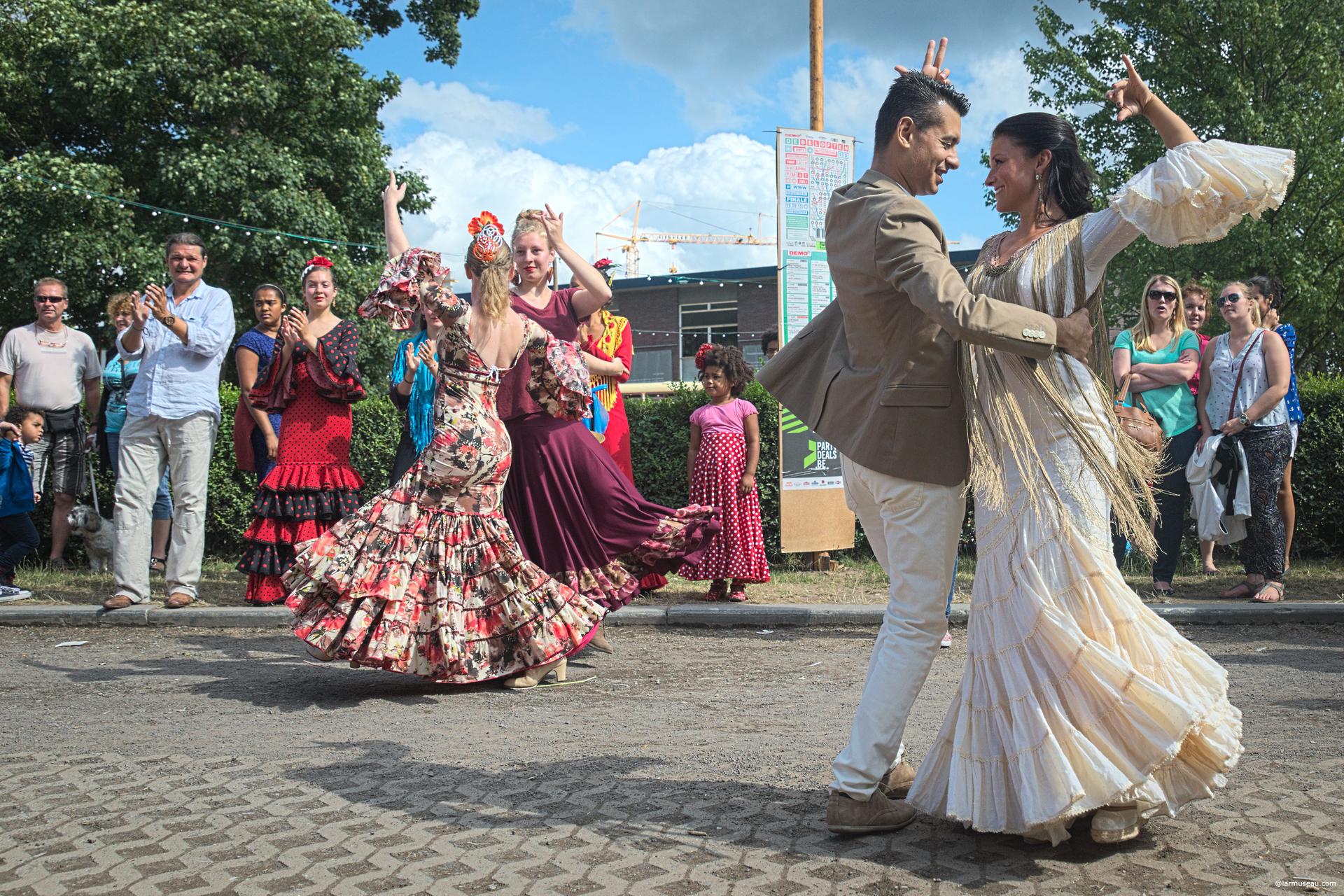 flamenco Also found in: Encyclopedia, Wikipedia. fla·men·co (flə-mĕng′kō) n. pl. fla·men·cos 1. a. A dance style of the Andalusian Romani people, characterized by forceful, often improvised rhythms. b. A dance in this style. 2. The guitar music that usually accompanies a dance in this style.