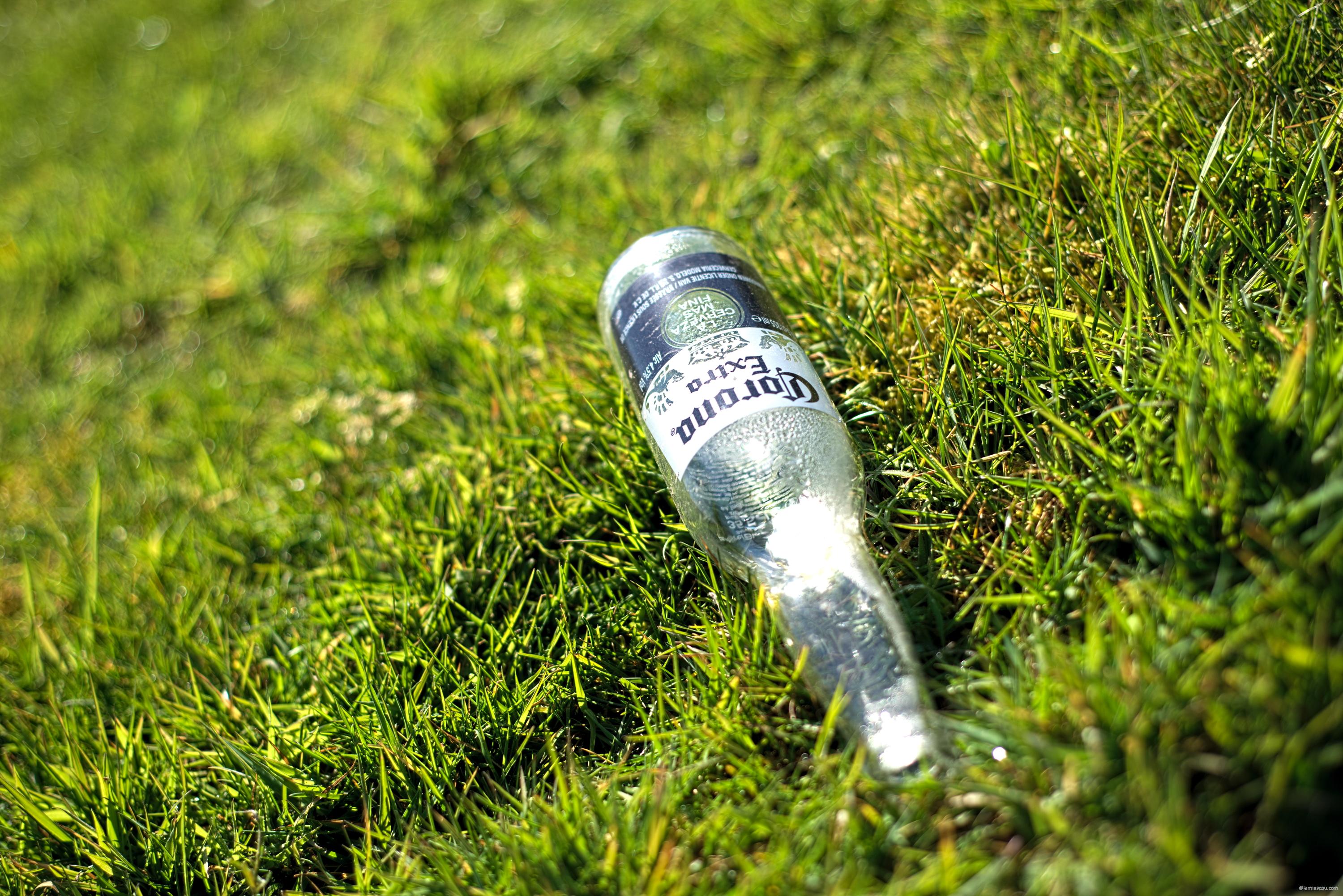 A Photo a day (25 of 365) 2020 – Larmuseau.com